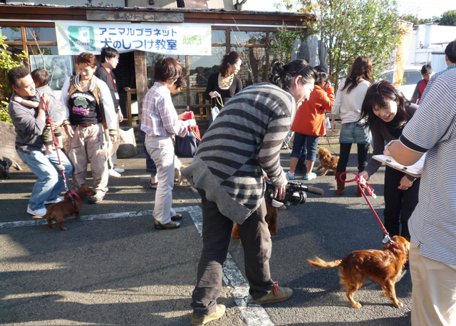 イベント