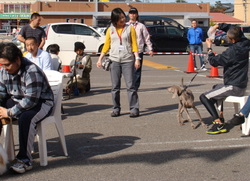 イベント