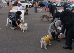 イベント