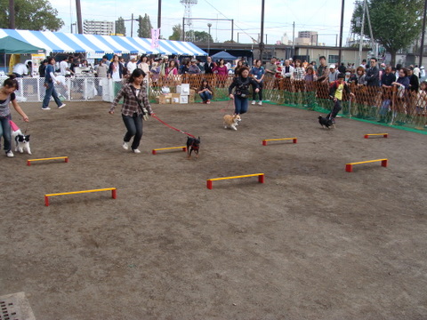 イベント